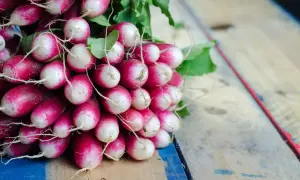 Pęczek świeżych rzodkiewek na drewnianym stole. Niska rzodkiewka kcal, idealna do zdrowej diety.