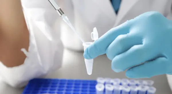 Ręka w niebieskiej rękawiczce laboratoryjnej używa pipety do pobrania płynu z probówki.