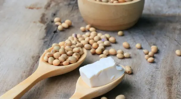 Ziarna soi na drewnianych łyżkach i w misce, obok kostka tofu.