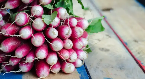 Pęczek świeżych rzodkiewek na drewnianym stole. Niska rzodkiewka kcal, idealna do zdrowej diety.